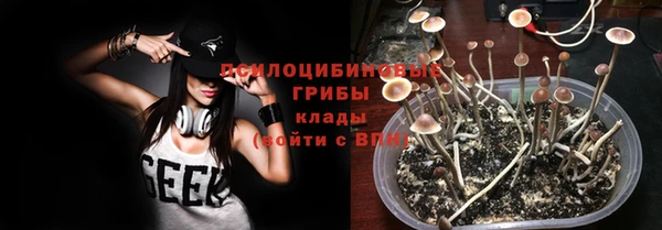 дживик Медвежьегорск