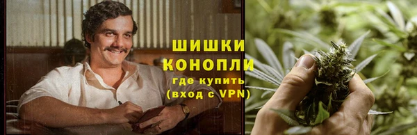 дживик Медвежьегорск