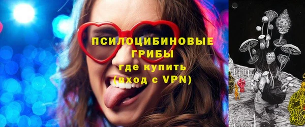 амф Медногорск