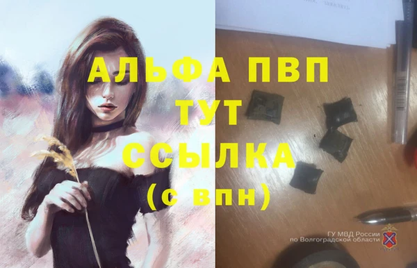 дживик Медвежьегорск