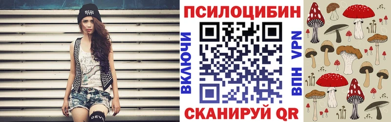 mega ONION Тутаев Галлюциногенные грибы Psilocybe